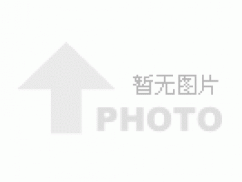 积木文化墙：企业形象展示的新宠儿
